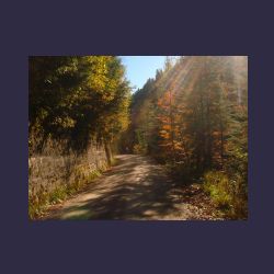 2012-10-20_Fall_AQUILA (128).JPG
